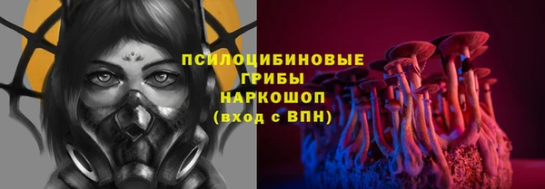 таблы Богданович