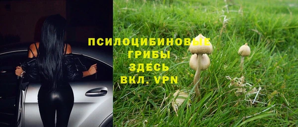 дживик Бугульма