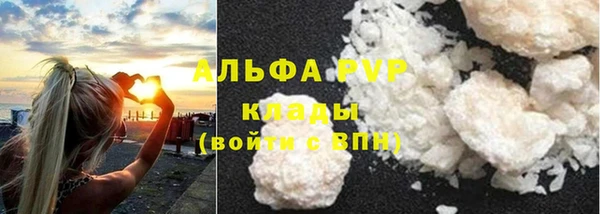 винт Тавда
